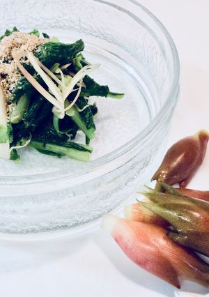 間引きした小さな白菜をポン酢で-レシピのメイン写真