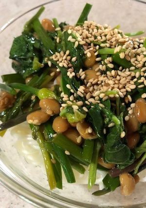 納豆とモロヘイヤのネバネバ素麺-レシピのメイン写真