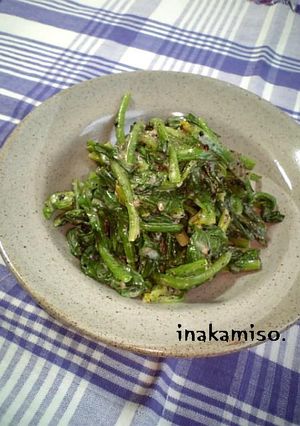 ホー菜のゴマヨ和え-レシピのメイン写真