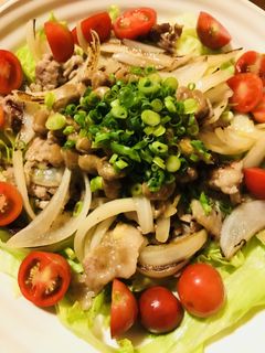 豚肉の塩だし炒め●納豆&レタスサラダ添え-レシピのメイン写真