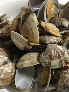 簡単 アサリの酒蒸し-レシピのメイン写真