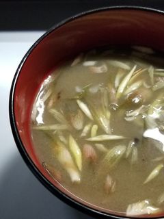 夏の風物詩「茄子と茗荷の冷たい味噌汁」-レシピのメイン写真