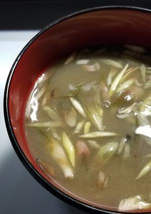 夏の風物詩「茄子と茗荷の冷たい味噌汁」-レシピのメイン写真