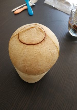 ココナッツ プレオープン-レシピのメイン写真