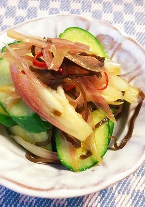 ＊きゅうりと茗荷の酢昆布漬け＊-レシピのメイン写真