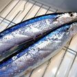〰魚屋さんから教わった秋刀魚の塩焼き〰