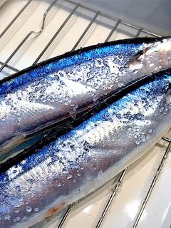 〰魚屋さんから教わった秋刀魚の塩焼き〰-レシピのメイン写真