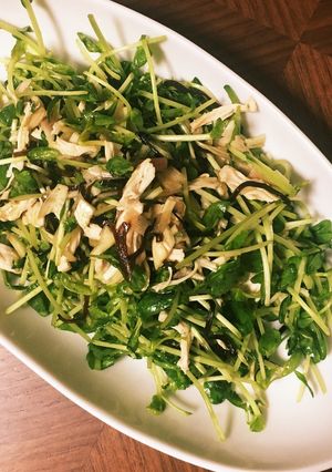 豆苗とささみと塩昆布とみょうが-レシピのメイン写真