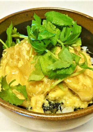 鶏むね肉なのにパサパサしない親子丼-レシピのメイン写真