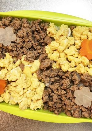 旦那弁当160♥二色丼弁当!-レシピのメイン写真