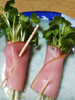 いろいろ使える!ハム巻きかいわれ-レシピのメイン写真