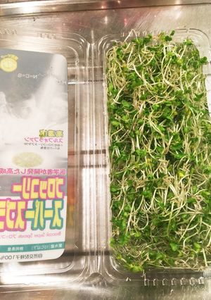 スーパースプラウト シャキッと長持ち！-レシピのメイン写真