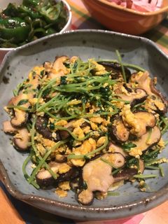 豆苗 オイスターソース炒め-レシピのメイン写真