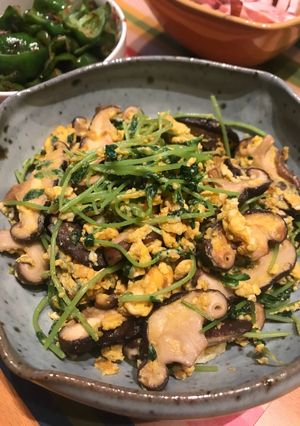 豆苗 オイスターソース炒め-レシピのメイン写真