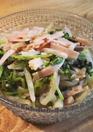 豆苗とモヤシの和風サラダ-レシピのメイン写真
