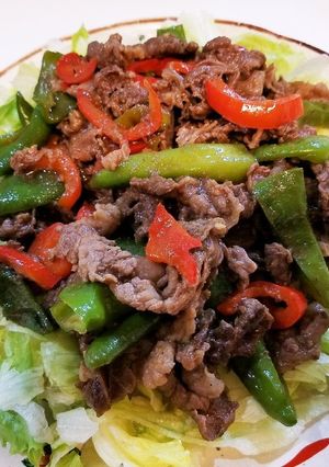 万願寺とうがらしとパプリカの焼肉サラダ-レシピのメイン写真