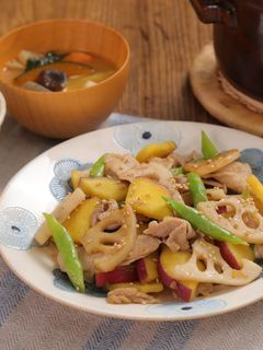 豚肉と根菜の甘辛きんぴら炒め-レシピのメイン写真