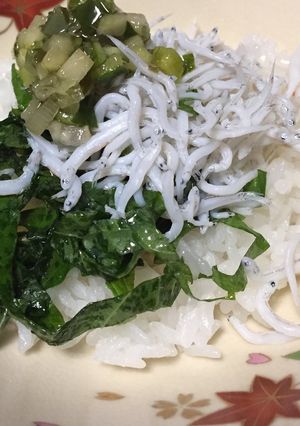 夏のお腹スッキリごはん-レシピのメイン写真