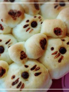 くまぱん くまぱん