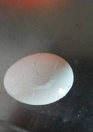 簡単！早い！茹で玉子の殻のむきかた-レシピのメイン写真