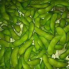 รูปของ おいしい枝豆の茹で方