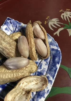 超簡単！生落花生茹で方(生ピーナツ)塩味-レシピのメイン写真