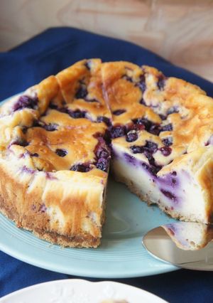 乾パン救済＊ブルーベリーヨーグルトケーキ-レシピのメイン写真