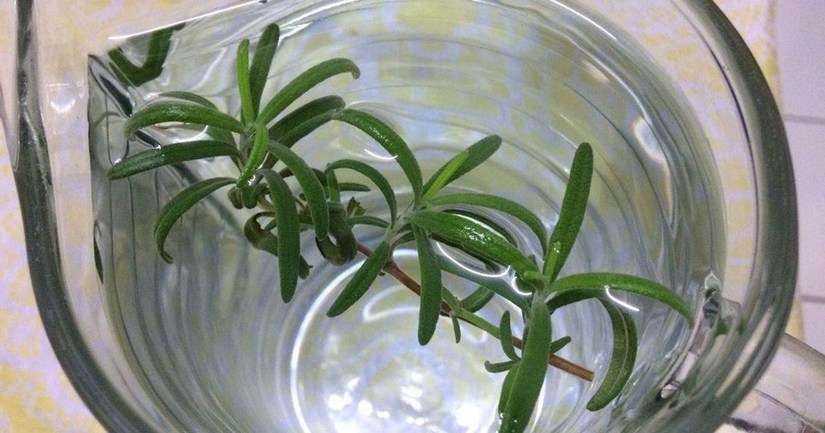 ローズマリー水 by SakoinKK 【クックパッド】 簡単おいしいみんなの