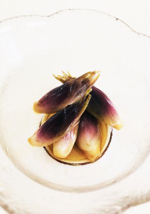 ミョウガの醤油漬-レシピのメイン写真