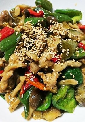 豚コマ、茄子とピーマンでピリ辛味噌炒め-レシピのメイン写真