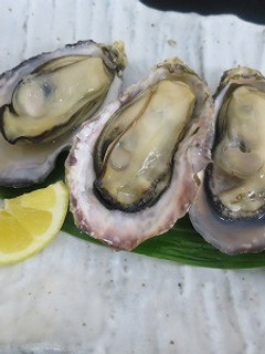 牡蠣のレンジ蒸し-レシピのメイン写真