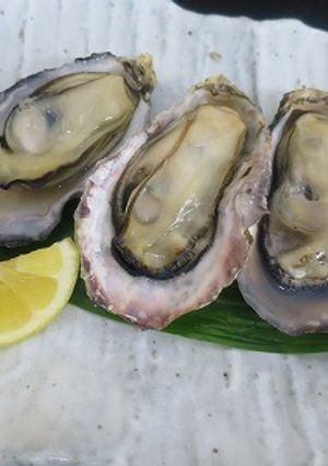 牡蠣のレンジ蒸し-レシピのメイン写真