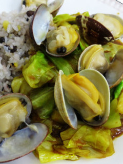 アサリと春キャベツのカレー-レシピのメイン写真