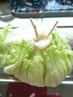 シャキシャキ!レタスの保存法-レシピのメイン写真