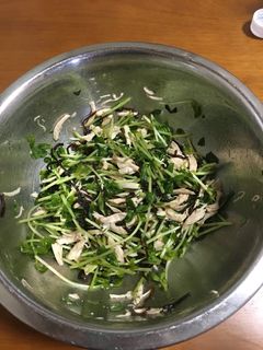 ササミと豆苗の塩昆布和え-レシピのメイン写真