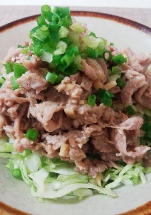 ☆焼き肉のっけ盛り丼☆-レシピのメイン写真