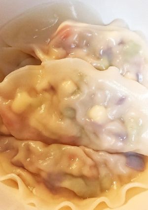 余った野菜だけで☆ヘルシー水餃子☆-レシピのメイン写真