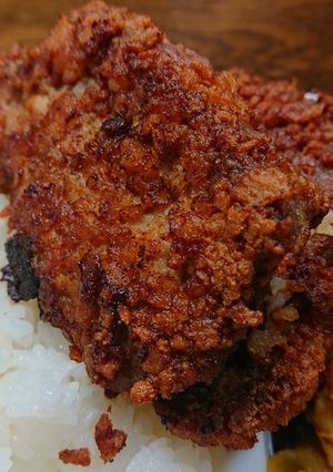 適度な塩加減がいい✨手作り豚カツ-レシピのメイン写真