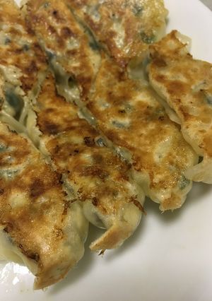 ＊菜食＊野菜豆腐餃子-レシピのメイン写真