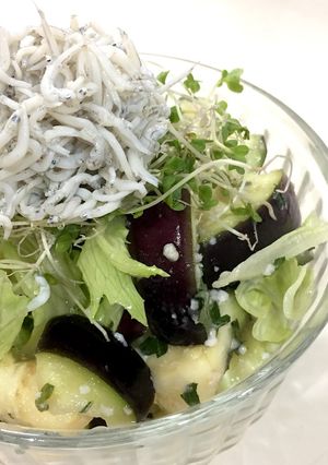 火いらず♪水ナスとレタスの塩麹サラダ-レシピのメイン写真