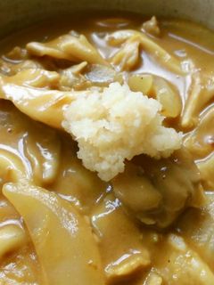 おろし生姜たっぷりのカレーうどん♪-レシピのメイン写真