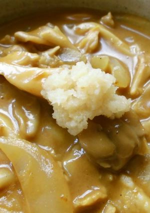 おろし生姜たっぷりのカレーうどん♪-レシピのメイン写真