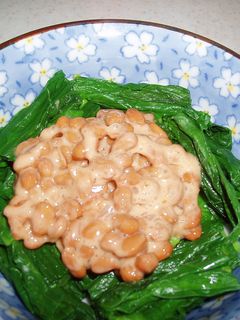 ゴマだれ納豆!-レシピのメイン写真