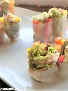 簡単★さっぱり鶏チャーシューの生春巻き-レシピのメイン写真