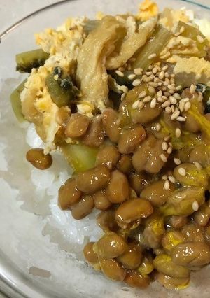 納豆ゴーヤチャンプルー風-レシピのメイン写真