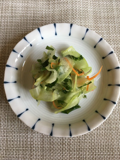 白瓜漬け 簡単浅漬け-レシピのメイン写真