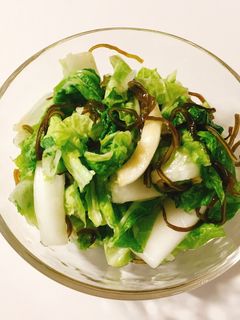 白菜と塩昆布の簡単漬物-レシピのメイン写真
