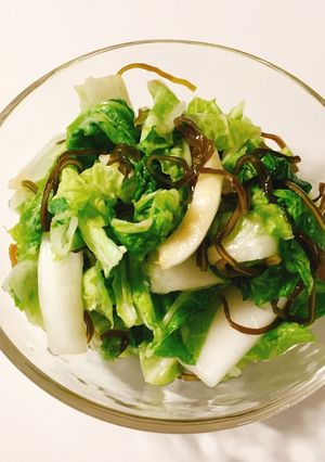 白菜と塩昆布の簡単漬物-レシピのメイン写真