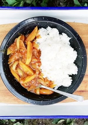 今日のキャンプカレー-レシピのメイン写真