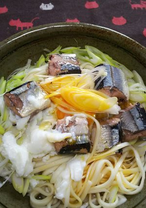 簡単! 水煮缶でずぼら飯 うどん-レシピのメイン写真
